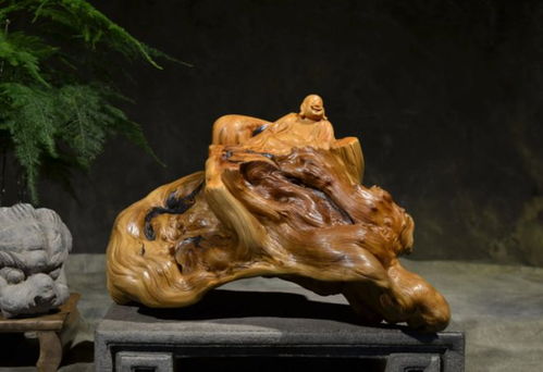 2010年,山西男子為收藏崖柏賣房,11年后一塊木料拍賣出38萬(wàn)