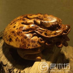 太行崖柏工藝品擺件的藝術(shù)魅力 名木坊的匠心之作