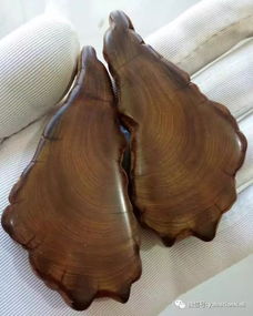 如何判定崖柏是否屬于精品 從紋理、香味到藝術(shù)價(jià)值的綜合指南