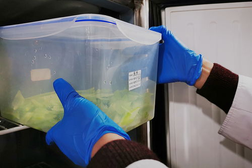 浙江浙大圓正酒店管理 依托學術背景，塑造專業酒店管理典范