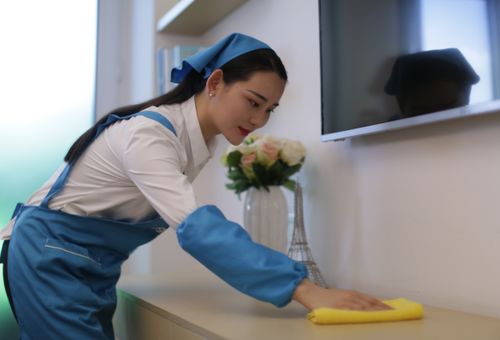 雙十一蘇寧家電服務(wù)爆量，油煙機(jī)清洗何以成為清潔服務(wù)“爆款”？